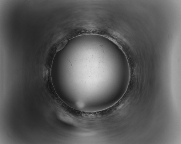 X0000089451302200706151424