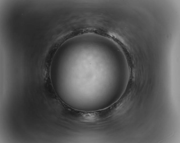 X0000089451303200706151424