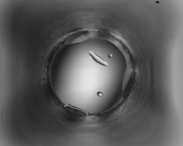 X0000089451304200706151424