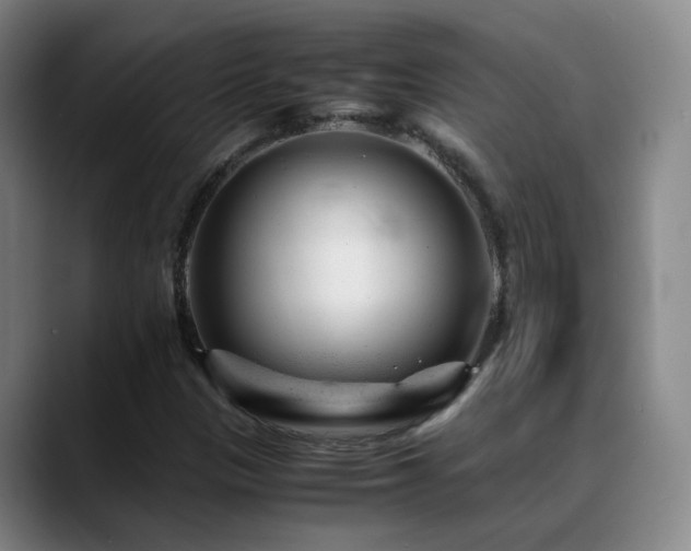 X0000089451305200706151424