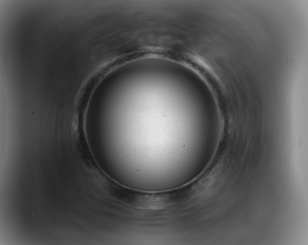 X0000089451307200706151424