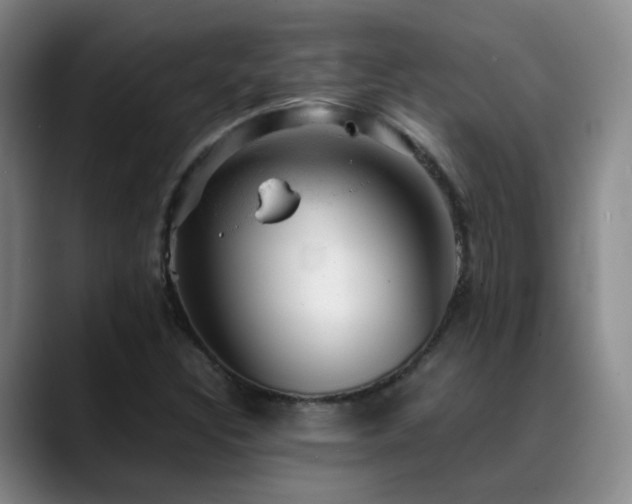 X0000089451308200706151424