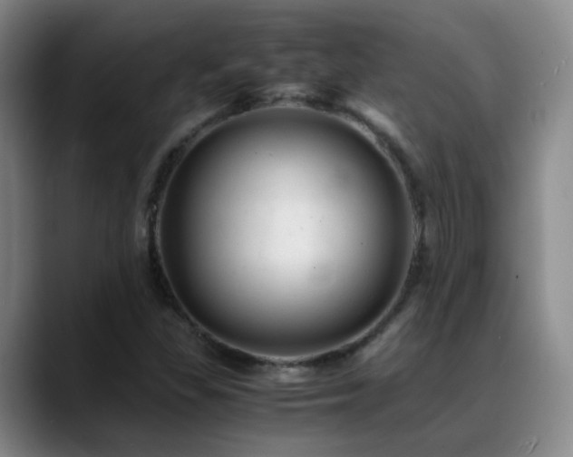 X0000089451309200706151424