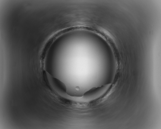 X0000089451310200706151424
