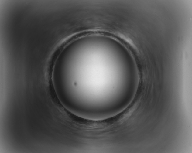 X0000089451311200706151424
