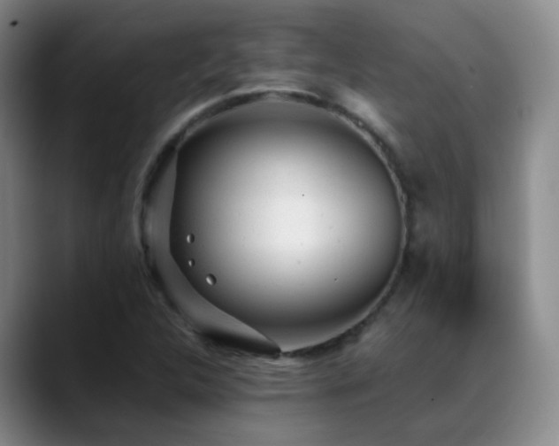 X0000089451312200706151424