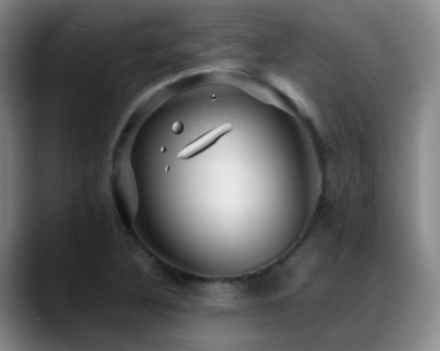 X0000089451316200706151424