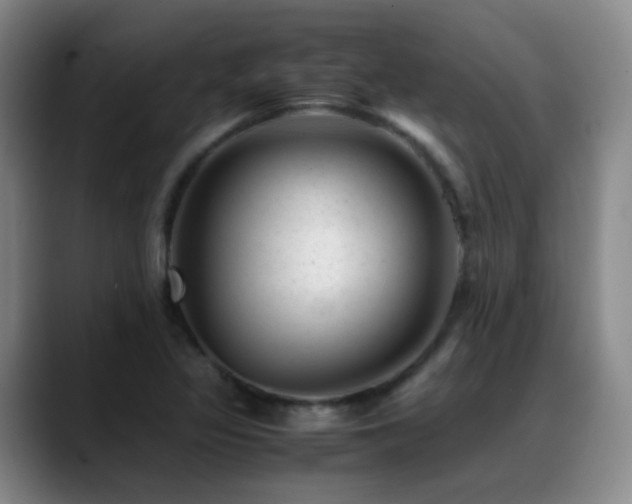 X0000089451317200706151424