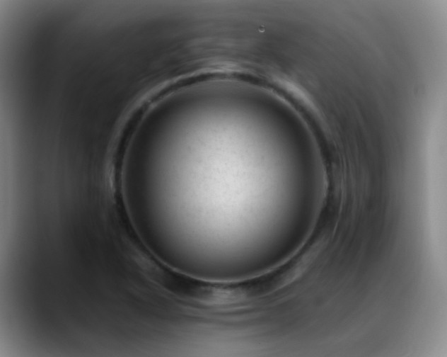 X0000089451318200706151424