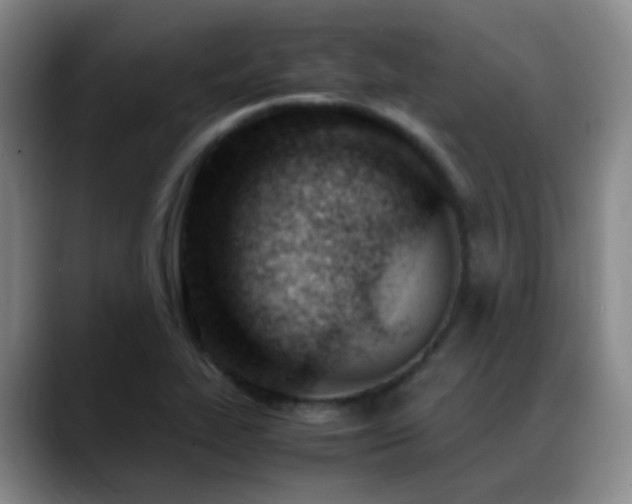 X0000089451319200706151424