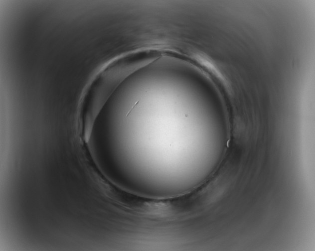 X0000089451320200706151424