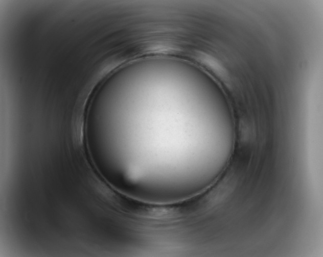 X0000089451322200706151424