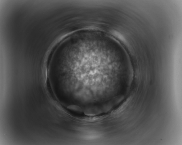X0000089451323200706151424