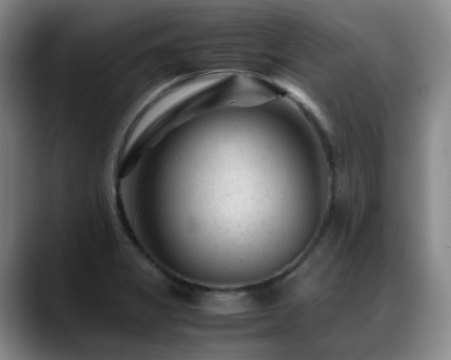 X0000089451325200706151424
