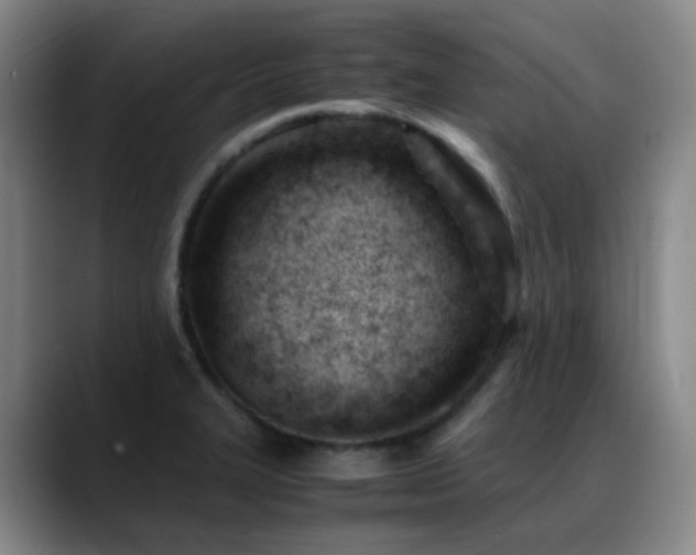 X0000089451327200706151425
