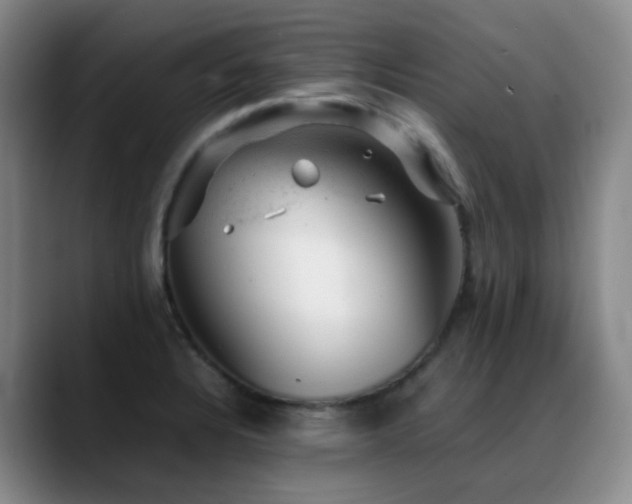 X0000089451328200706151425