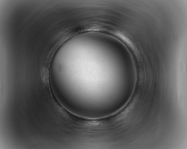 X0000089451329200706151425