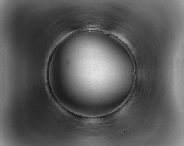 X0000089451333200706151425
