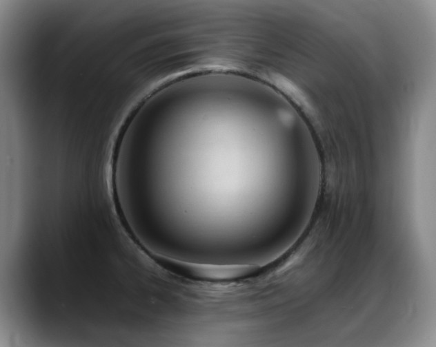 X0000089451334200706151425