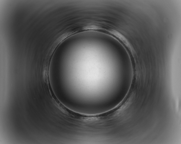 X0000089451337200706151425