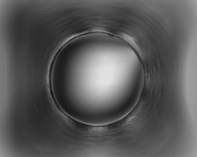X0000089451339200706151425
