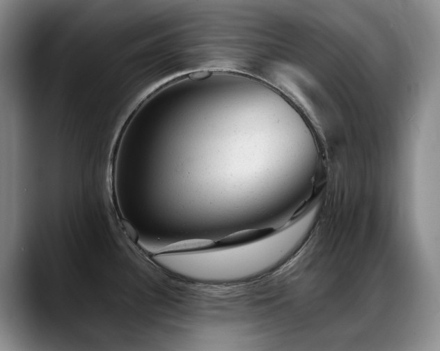 X0000089451340200706151425