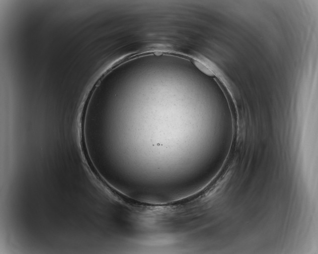 X0000089451341200706151425
