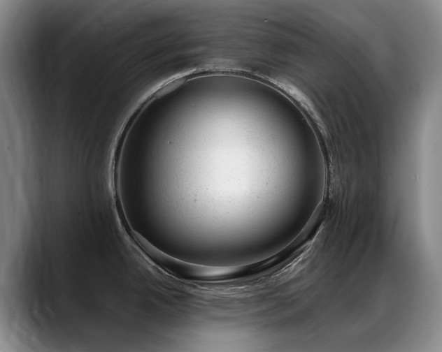 X0000089451342200706151425
