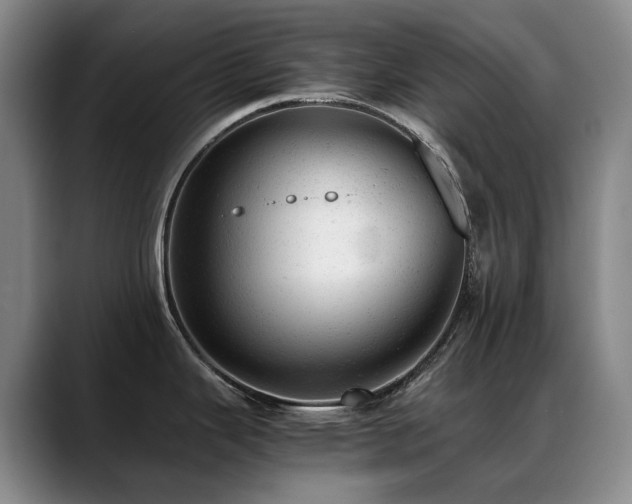 X0000089451343200706151425