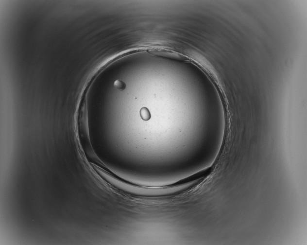 X0000089451344200706151425