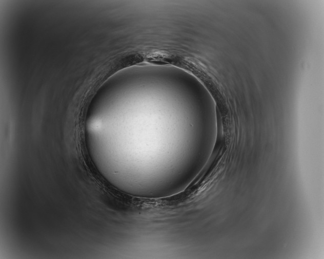 X0000089451345200706151424