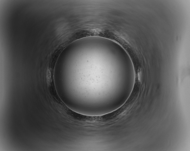 X0000089451347200706151424