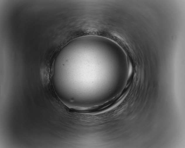 X0000089451348200706151424