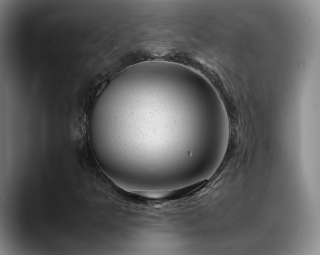 X0000089451349200706151424