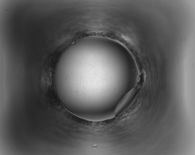 X0000089451350200706151424