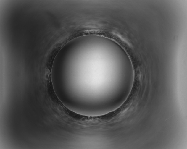 X0000089451351200706151424
