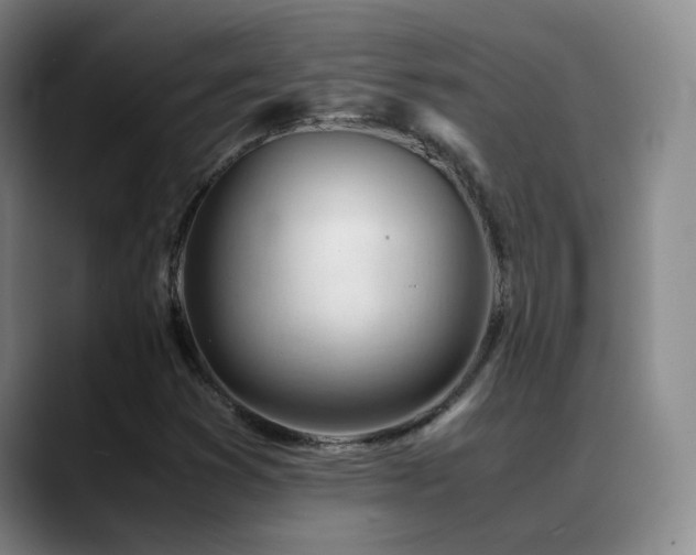 X0000089451353200706151424