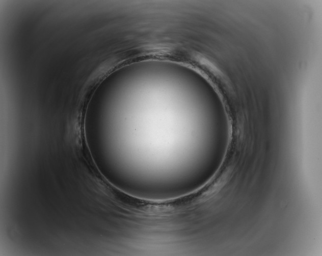 X0000089451354200706151424