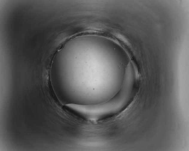 X0000089451355200706151424