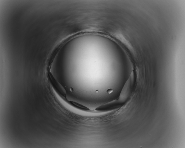 X0000089451356200706151424