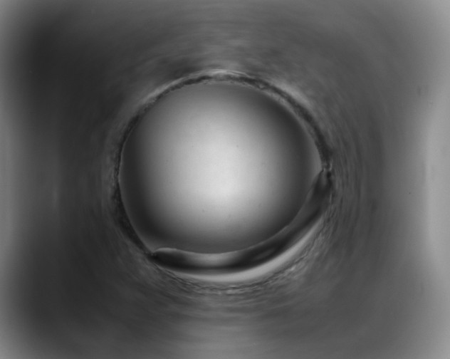 X0000089451359200706151424