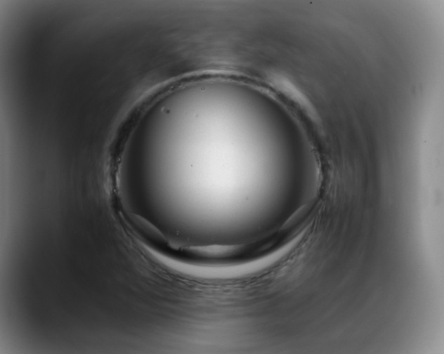 X0000089451360200706151424