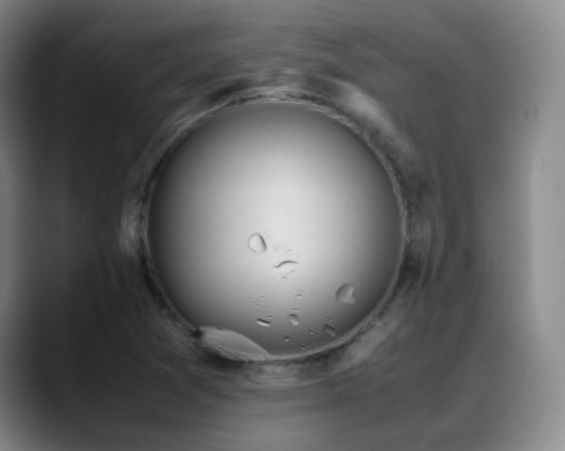 X0000089451361200706151424