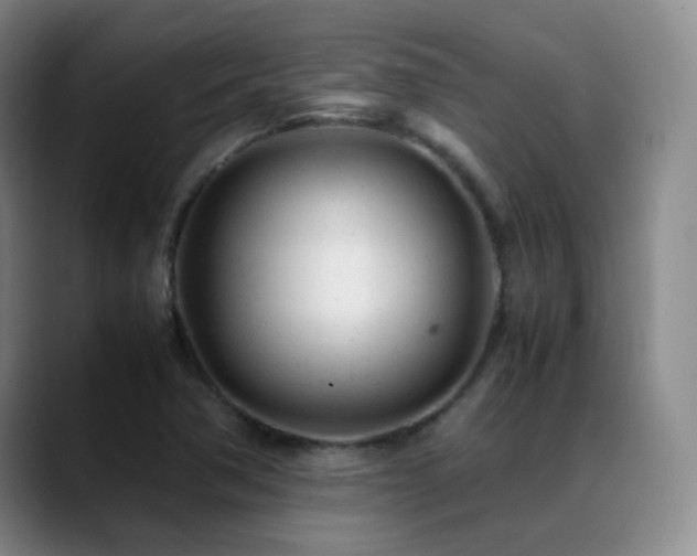 X0000089451362200706151424