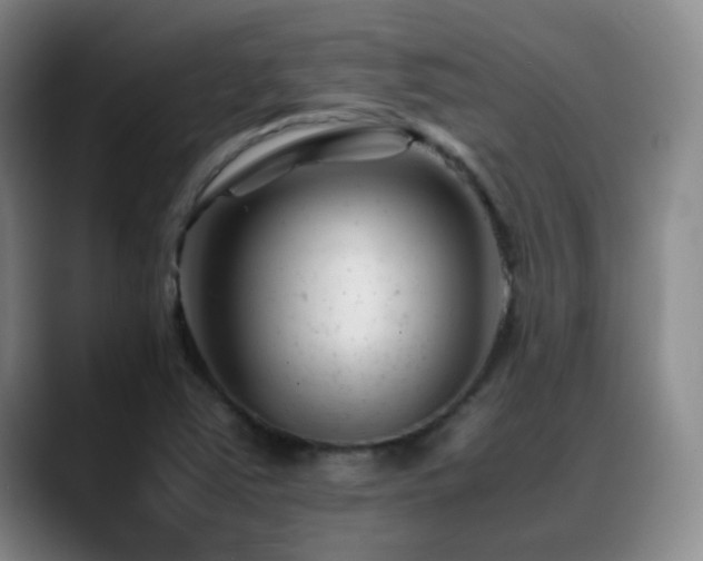 X0000089451363200706151424