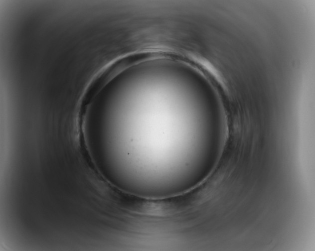 X0000089451364200706151424