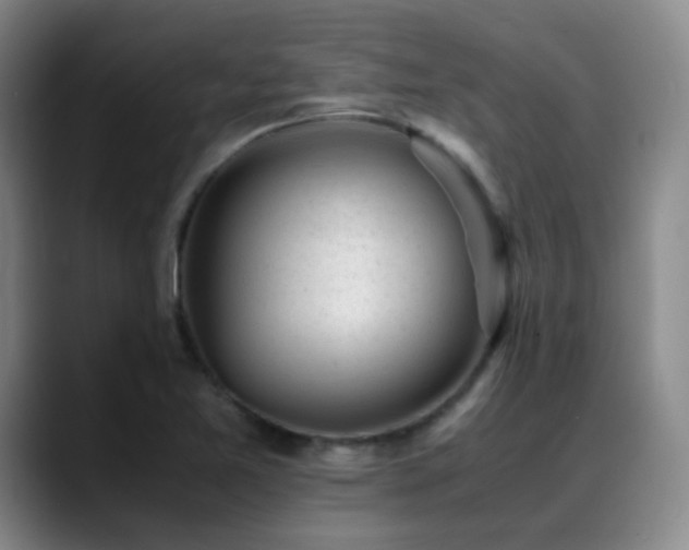 X0000089451365200706151424