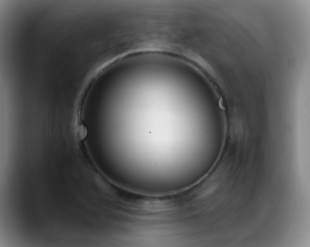 X0000089451366200706151424