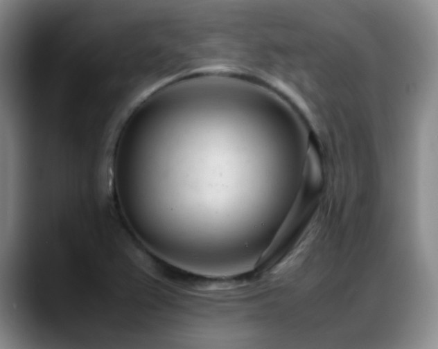 X0000089451367200706151424