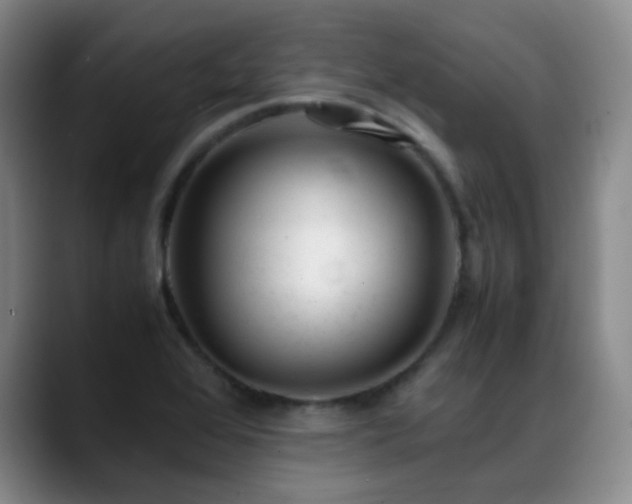 X0000089451368200706151424